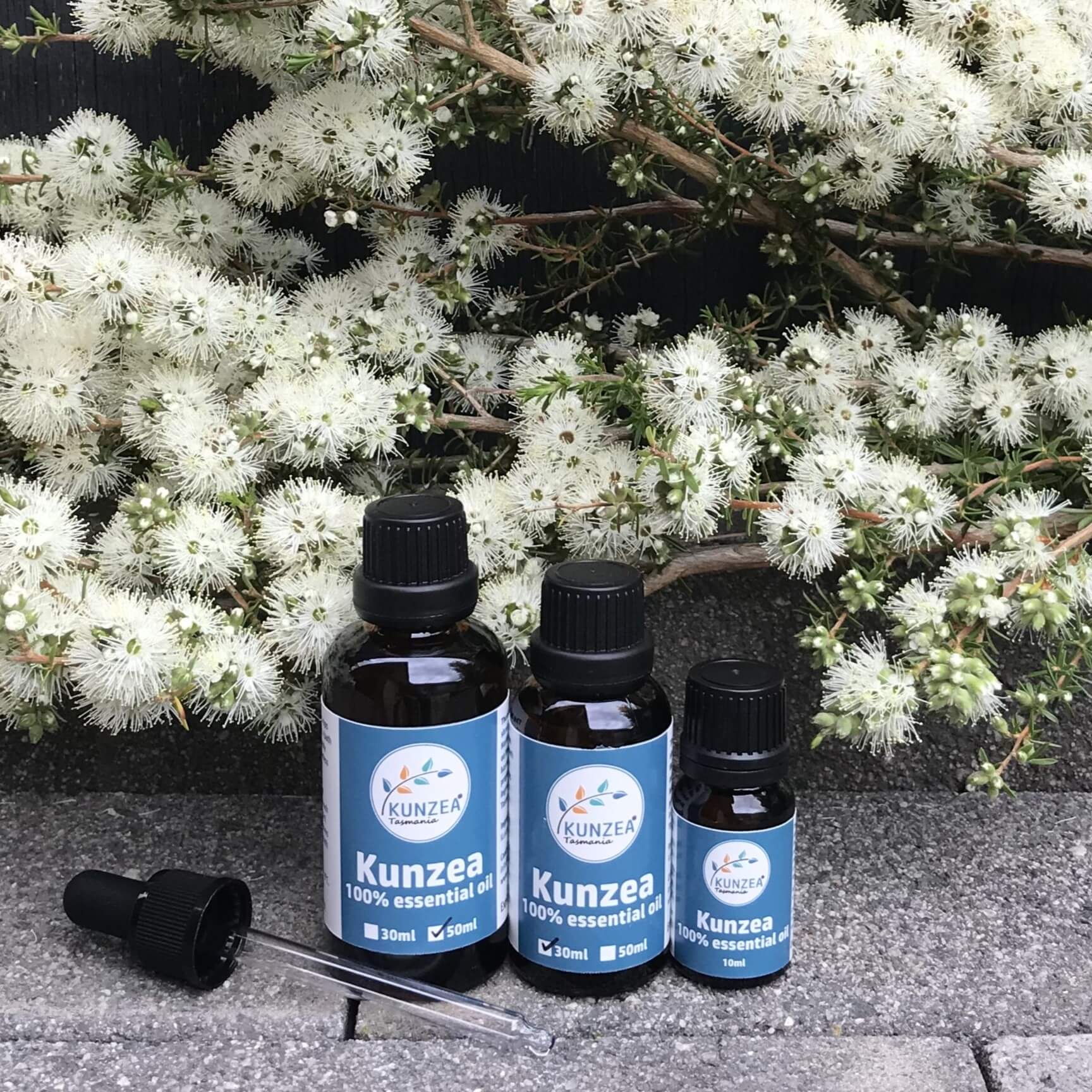 Kunzea Tasmania 100% Kunzea essential oil